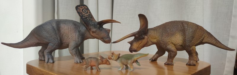 PNSO Torosaurus