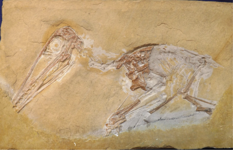 Hostis antiquus