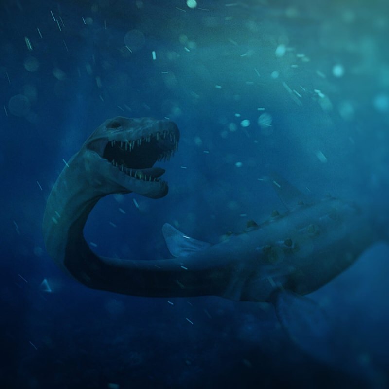 Elasmosaurus platyurus