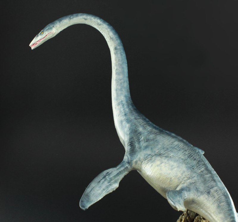 Elasmosaurus platyurus