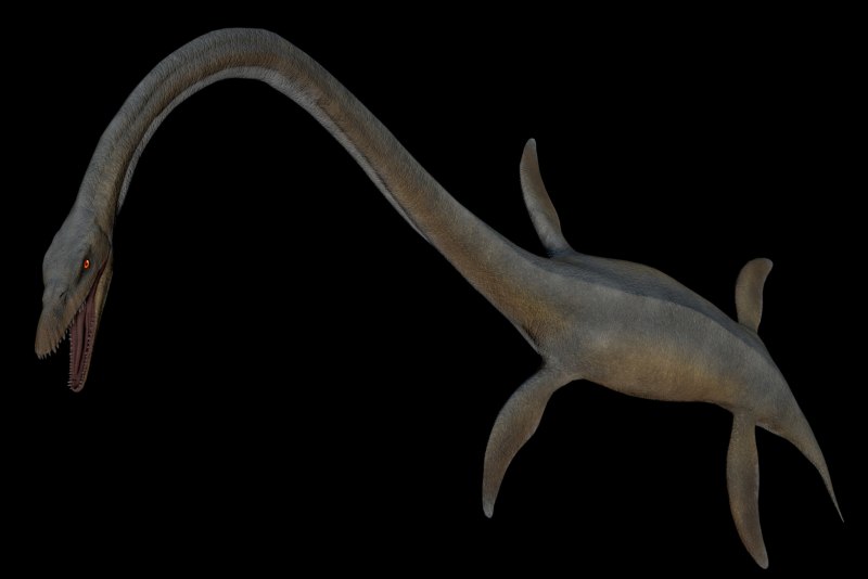 Elasmosaurus platyurus
