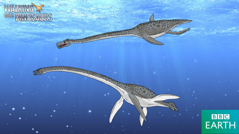 Elasmosaurus platyurus