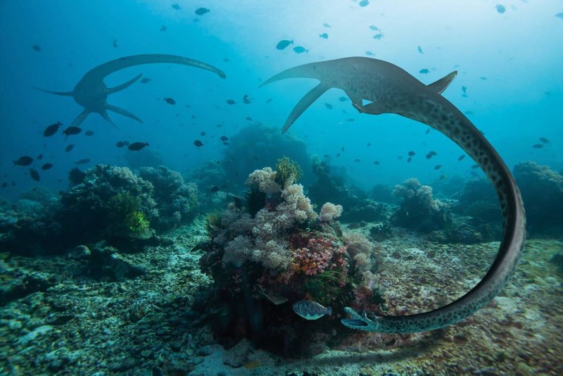 Elasmosaurus