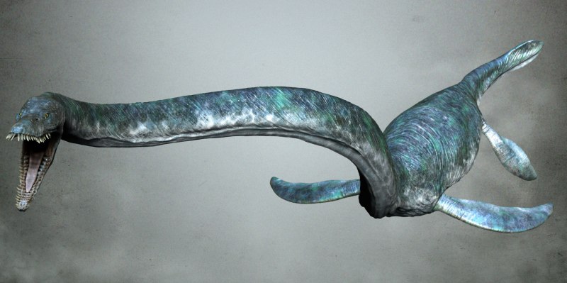 Elasmosaurus platyurus