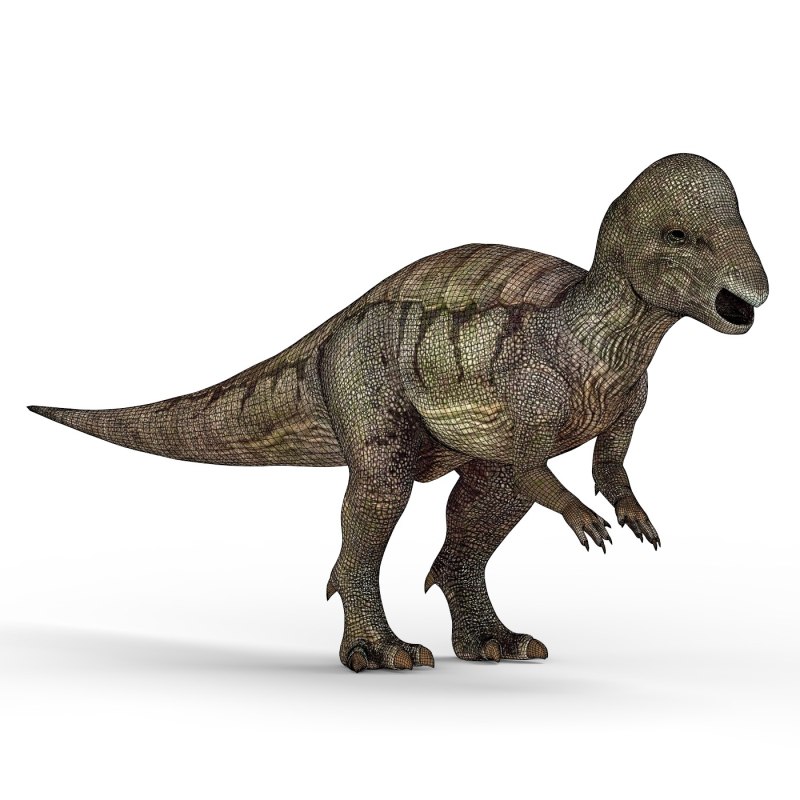 Saurian Пахицефалозавр
