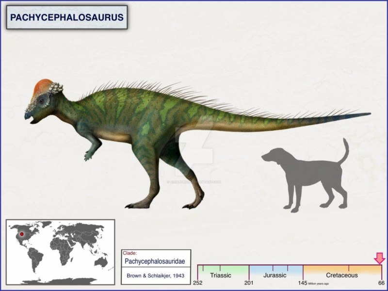 Dinosaurs by cisiopurple орнитоподы