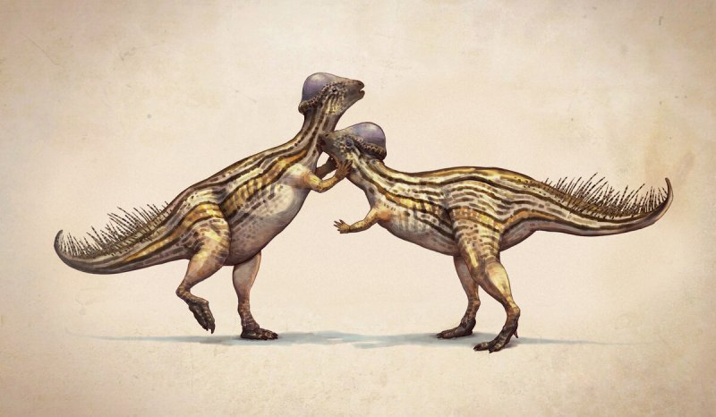 Prenocephale