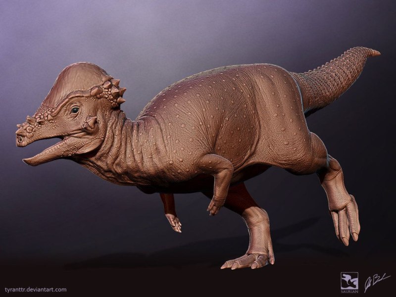 Saurian Пахицефалозавр