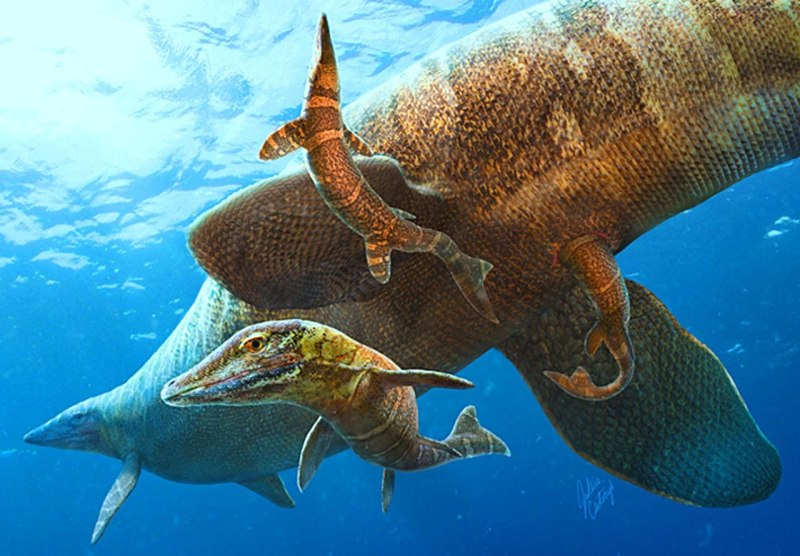 Julius Csotonyi