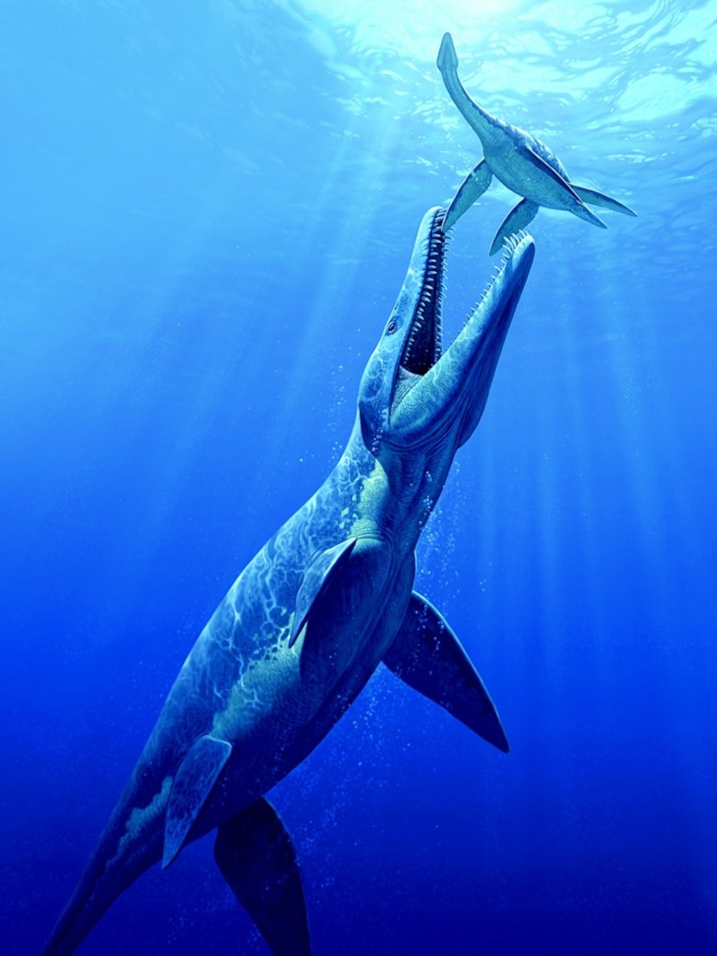 Pliosaurus funkei