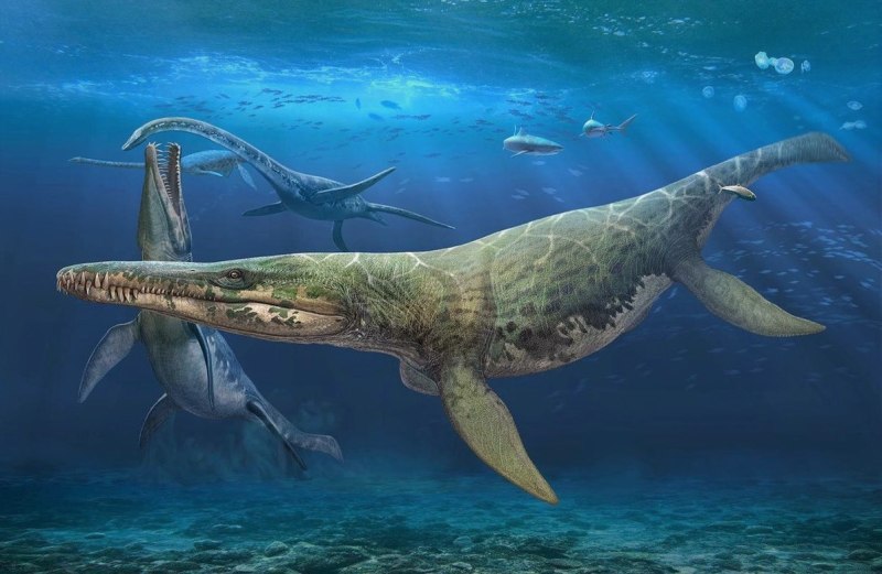 Динозавры морские Плезиозавр