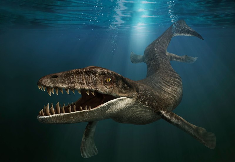 Дакозавр (Dakosaurus)