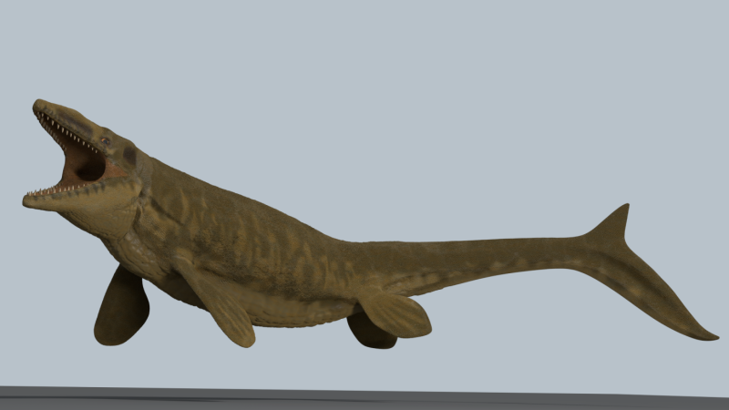Североамериканский мезозавр Mosasaurus