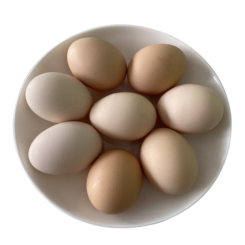 Brown and White Eggs