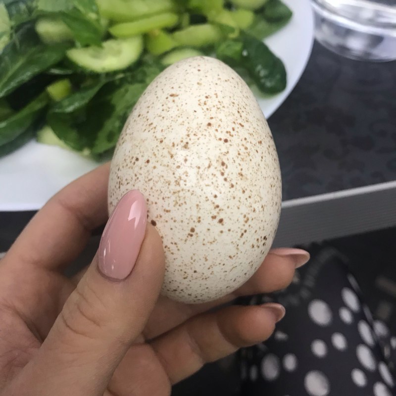 Куриное и индюшиное яйцо