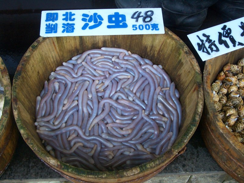 Puer nudus sacrificorum