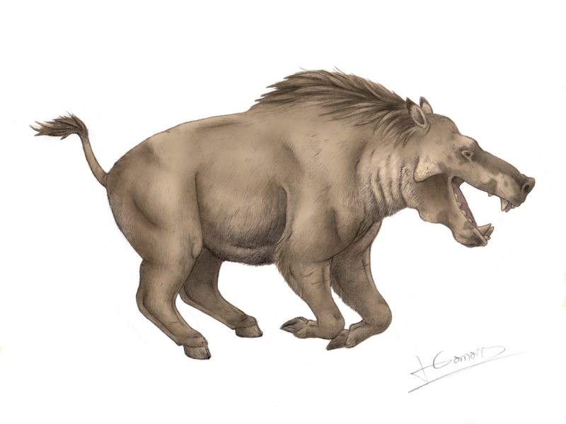 Энтелодон (Entelodon