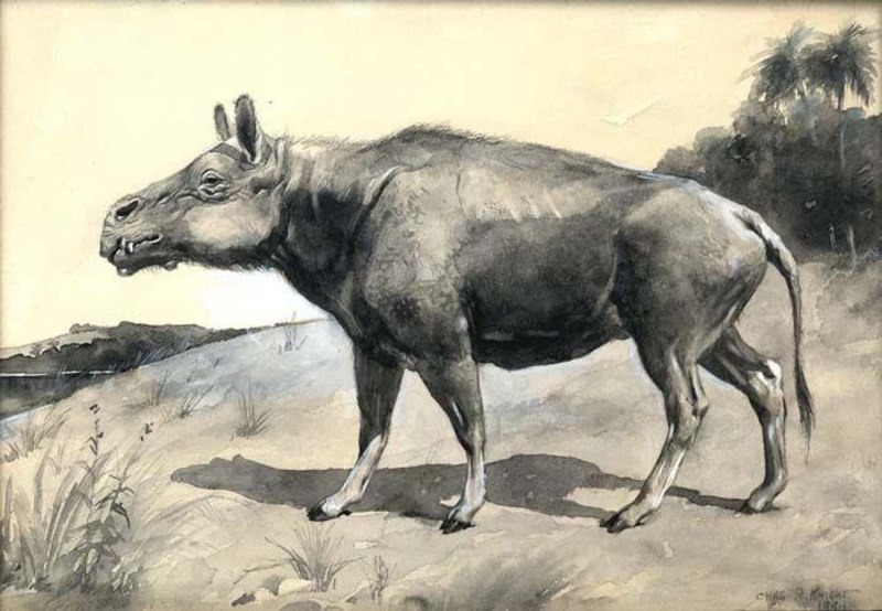 Энтелодон (Entelodon