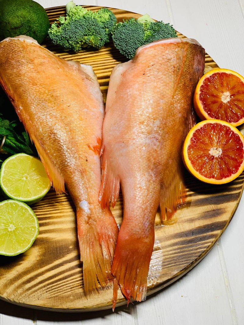 Сибас морской окунь