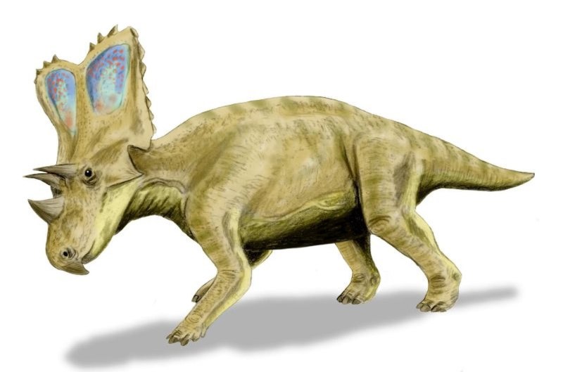 Chasmosaurus динозавр