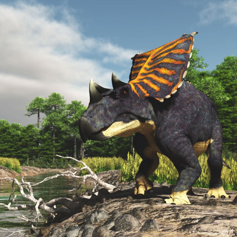 Chasmosaurus динозавр