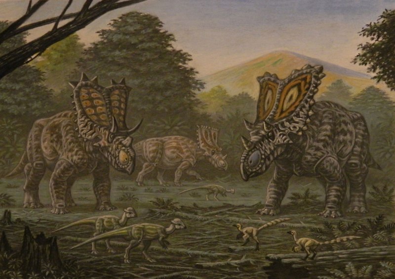 Vagaceratops ВАГАЦЕРАТОПС