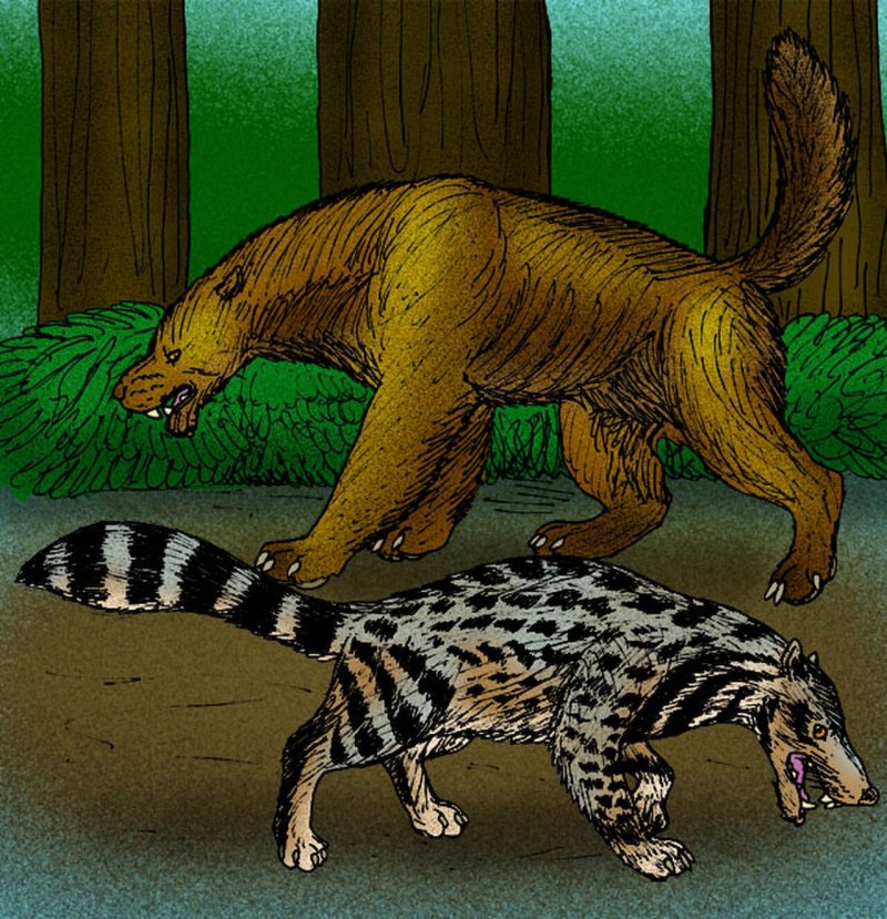 Ekorus ekakeran