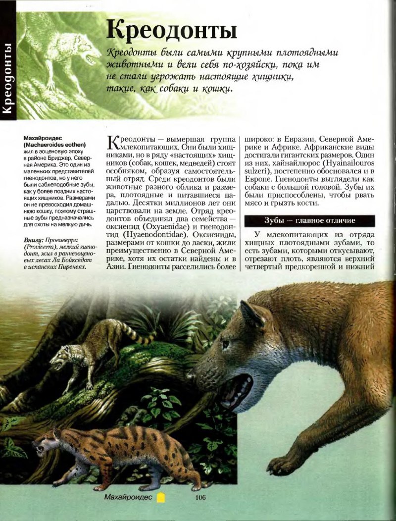 Большая энциклопедия доисторических животных Алан Тернер