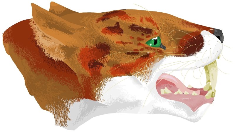Махероиды (Machaeroides)