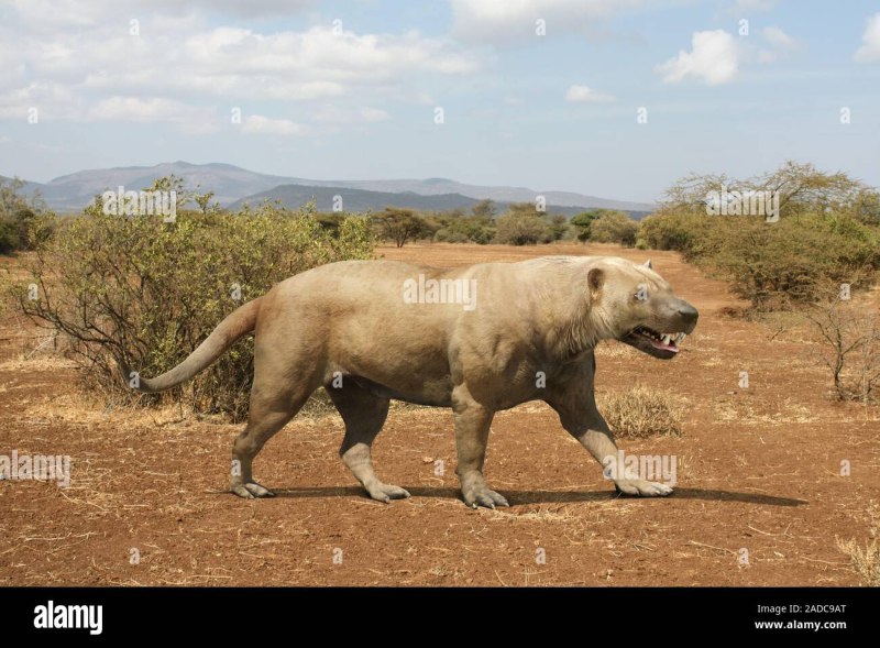 Megistotherium osteothlastes
