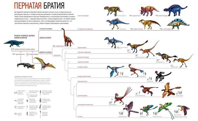 Систематика динозавров схема