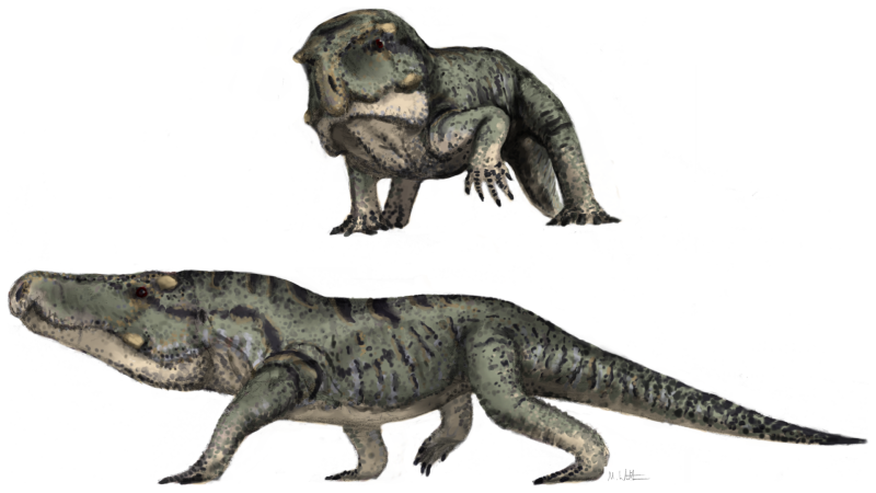 Nundasuchus songeaensis
