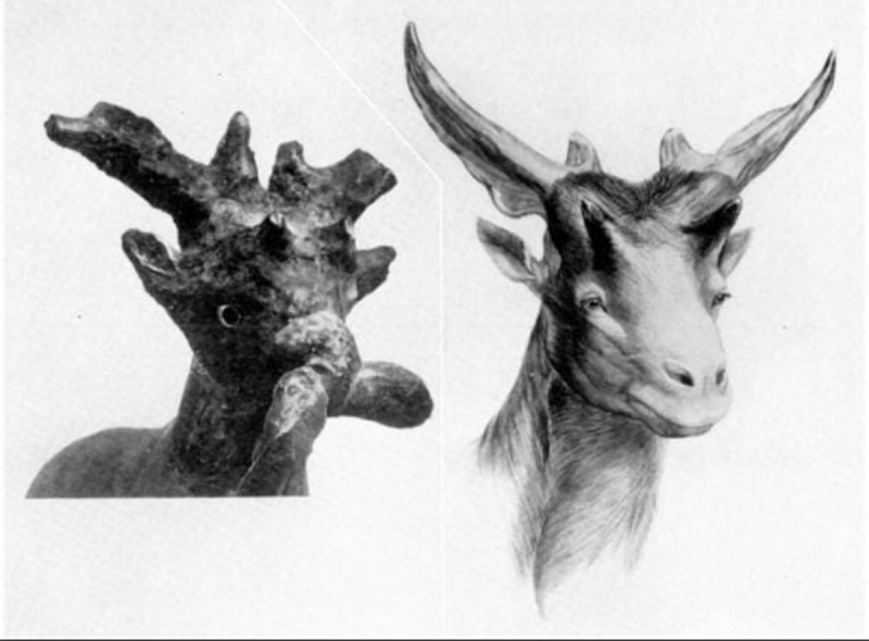 Sivatherium Mauricium