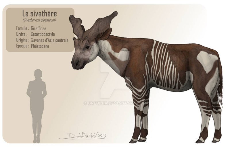 Sivatherium размер