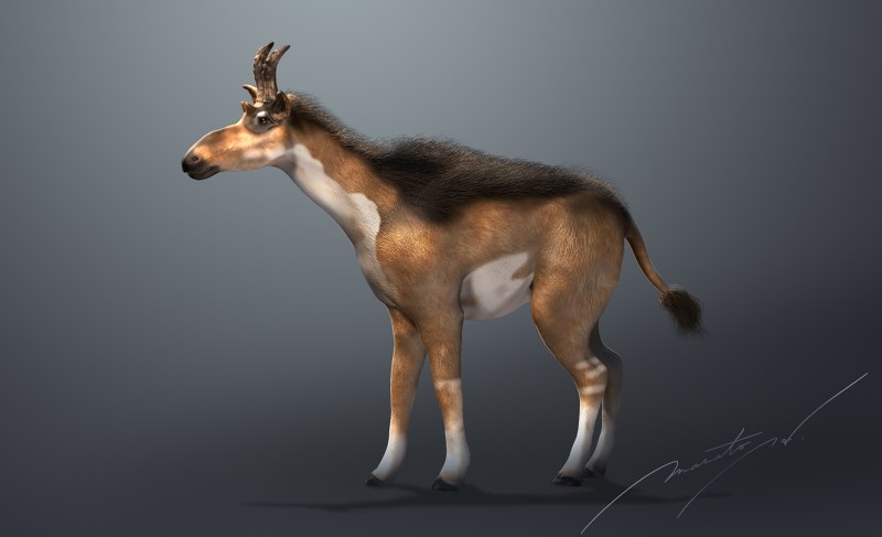 Decennatherium Rex