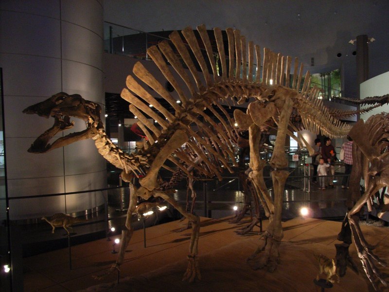 Ouranosaurus nigeriensis