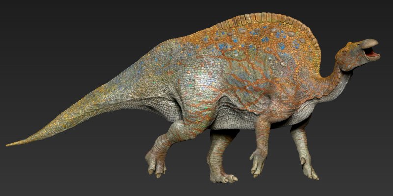 Ouranosaurus nigeriensis