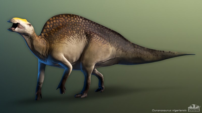 Ouranosaurus nigeriensis