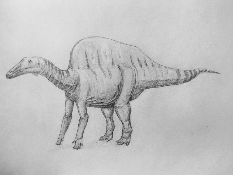 Atlasaurus imelakei