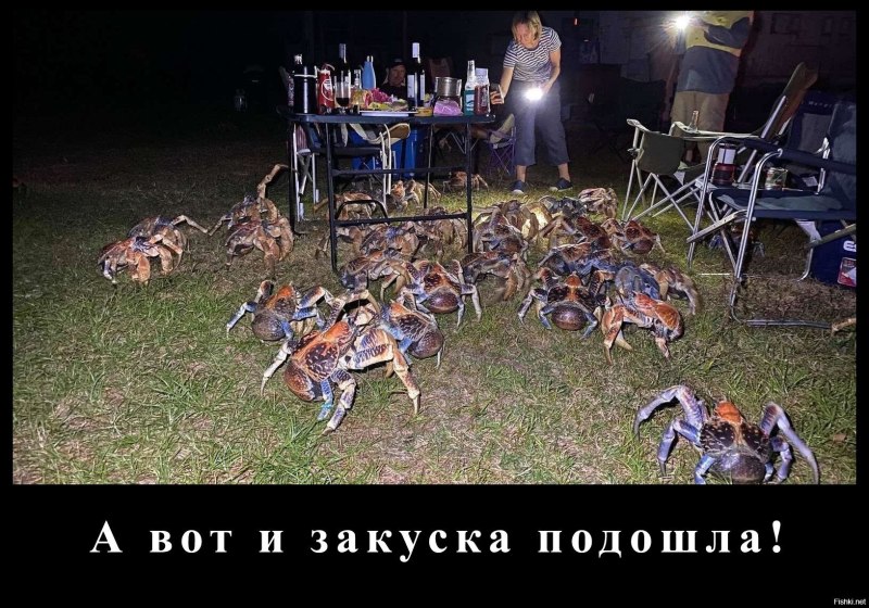 В Австралии Крабы гигантские на пикник