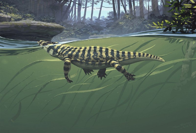 Eryops megacephalus
