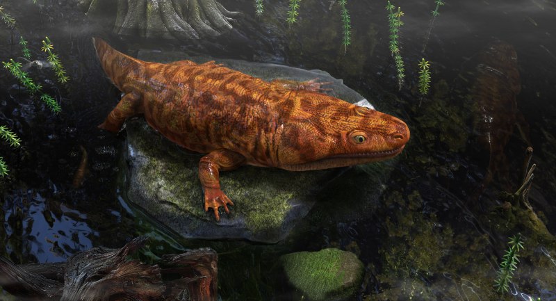 Metoposaurus diagnosticus