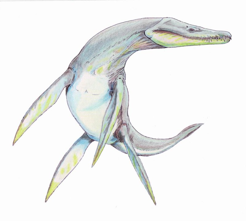 Плезиозавры Rhomaleosaurus