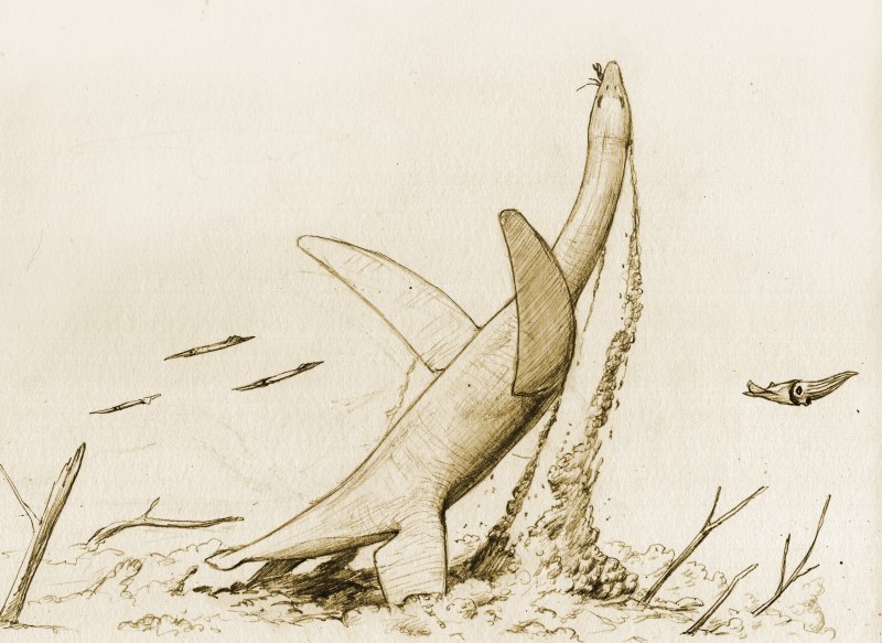Pliosaurus гравюра