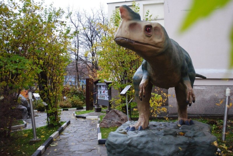 Амурозавр Дарвиновский музей