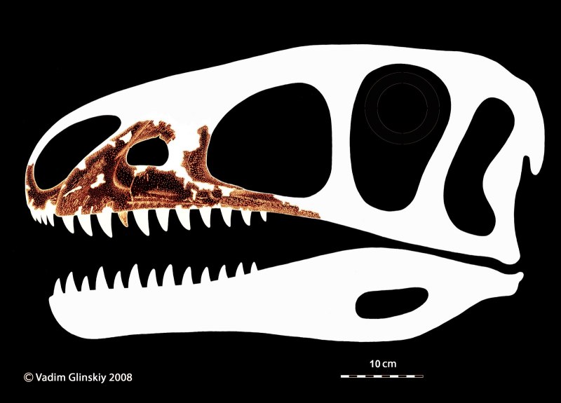 Андрей Атучин † Kileskus aristotocus