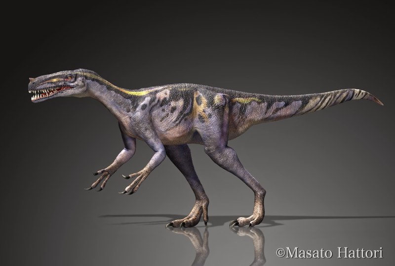 Proceratosaurus bradleyi