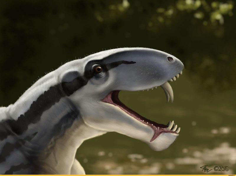 Eotitanosuchus olsoni