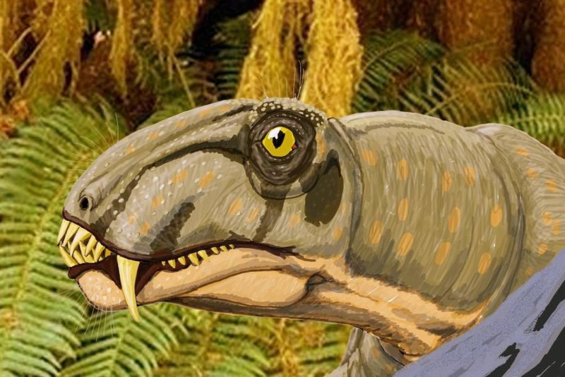 Антеозавры Anteosaurus magnificus