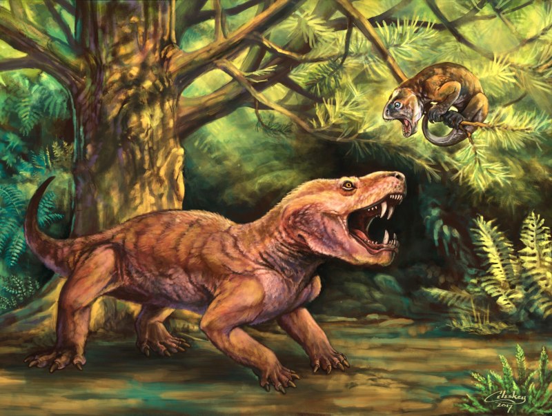 Gorynychus sundyrensis